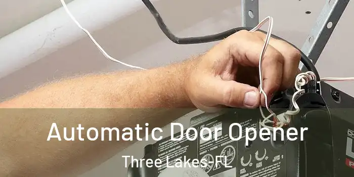 Automatic Door Opener Three Lakes-FL