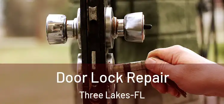 Door Lock Repair Three Lakes-FL