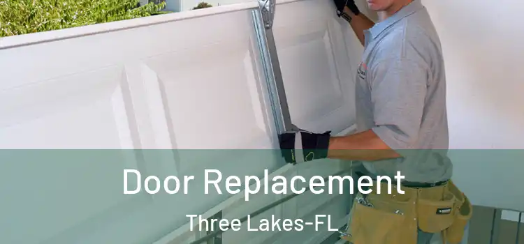 Door Replacement Three Lakes-FL